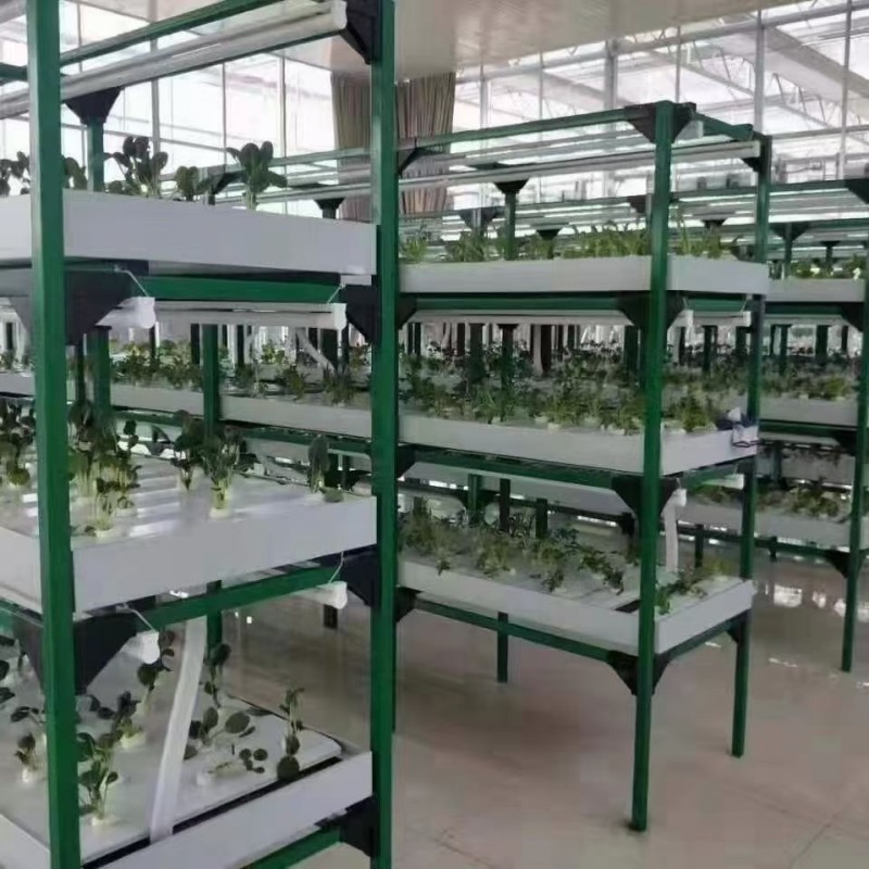 steel shelf rack near me
